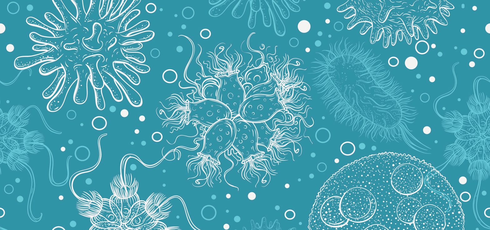 Microbes