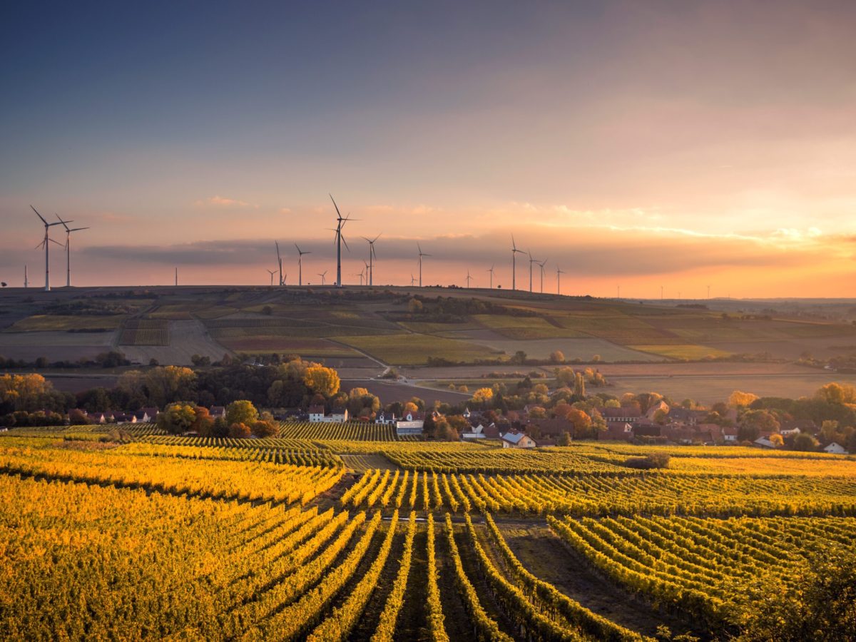 Looking at food through a sustainability&nbsp;lens