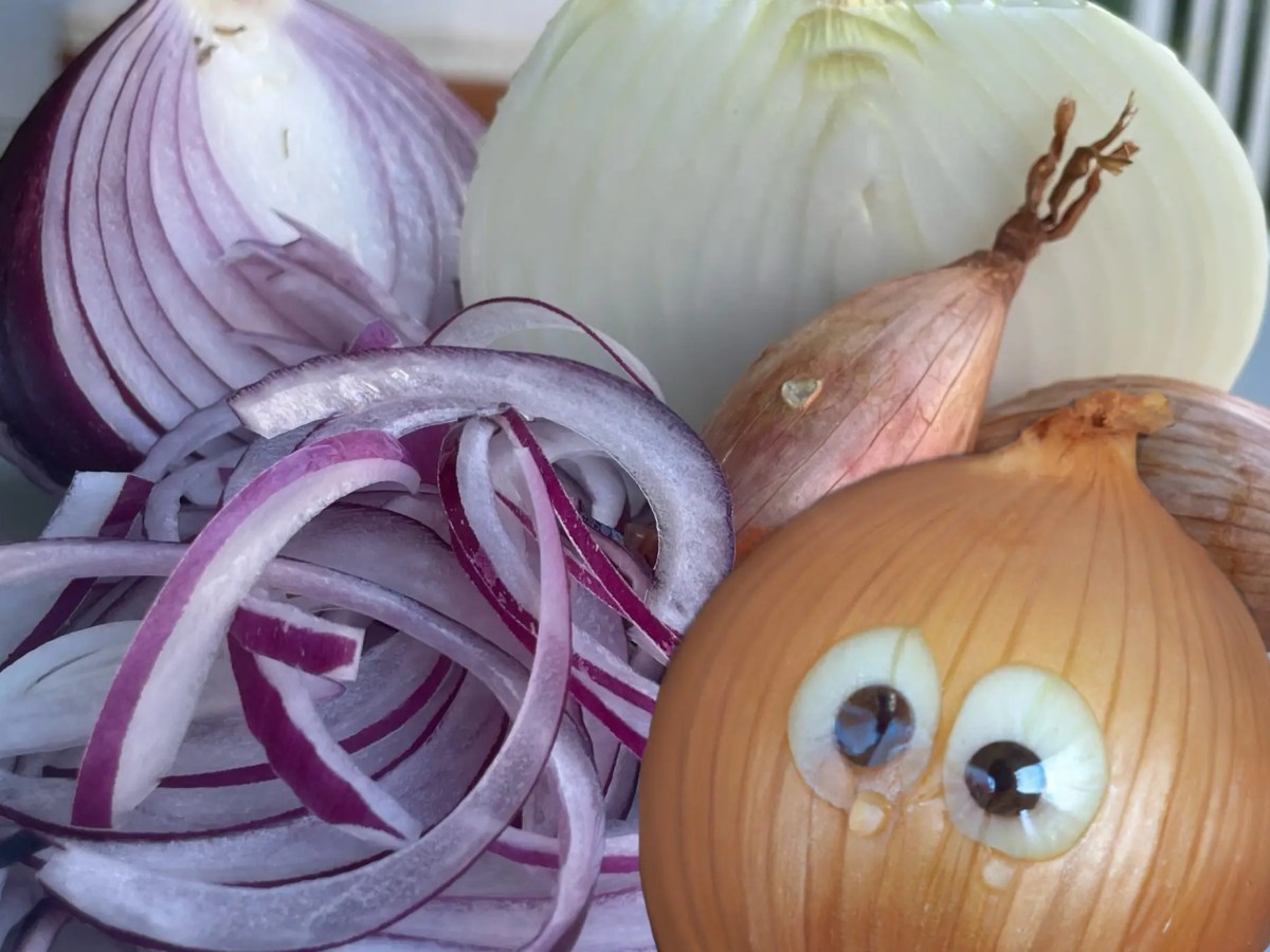 Allium, don’t you cry. A Survival&nbsp;Strategy.