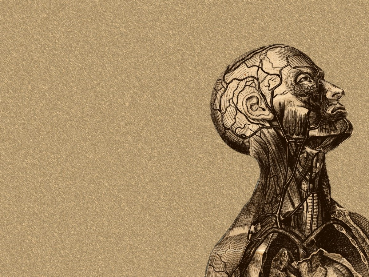 Measuring consciousness of&nbsp;smell