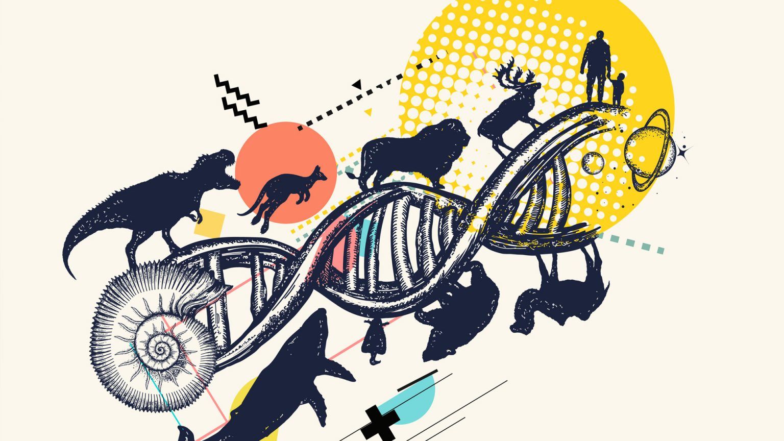 Genetic Evolution