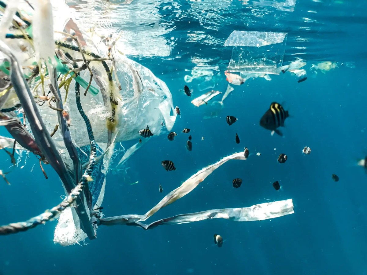 1. A detailed look at&nbsp;plastics